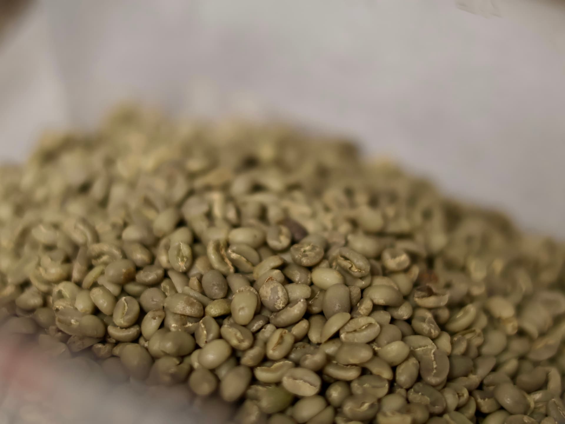 Unroasted green coffee beans from the ECHO House Blend